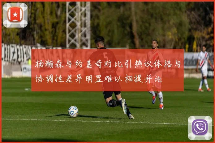 杨瀚森与约基奇对比引热议体格与协调性差异明显难以相提并论