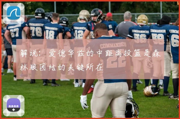解说：爱德华兹的中距离投篮是森林狼团结的关键所在