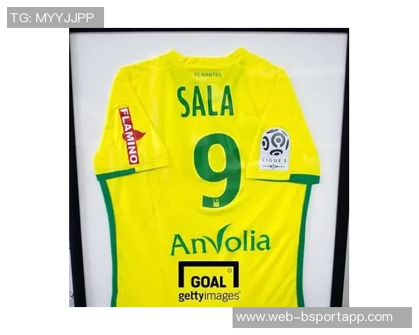 卡迪夫城就萨拉坠机事件向南特索赔12亿欧元提起诉讼