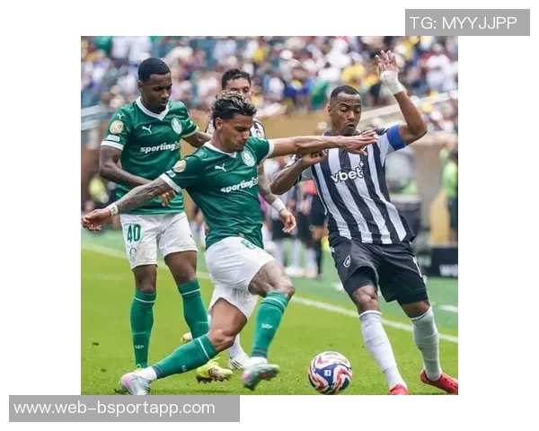 帕尔梅拉斯关注布莱顿后卫伊戈尔现正外租于西汉姆